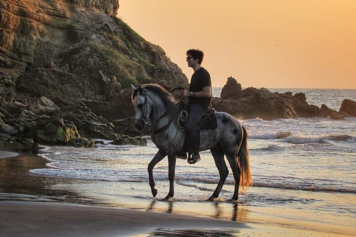 Beach Horseback Riding at Manzanillo: 4-Hour Guided Ride from Cartagena photo 6