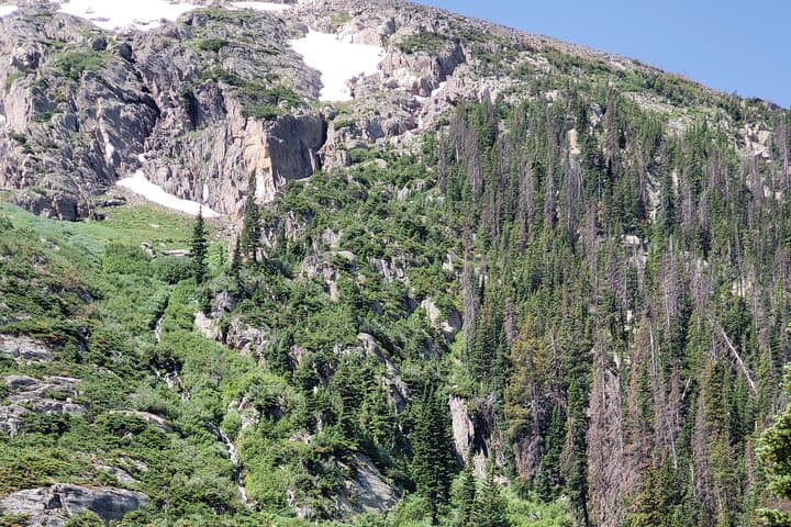 private-three-hour-afternoon-custom-tour-rocky-mountain-national-park photo 5