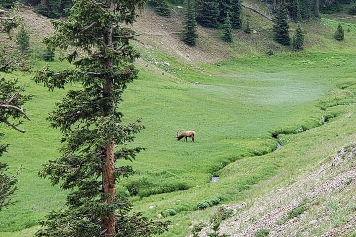 private-three-hour-afternoon-custom-tour-rocky-mountain-national-park photo 6