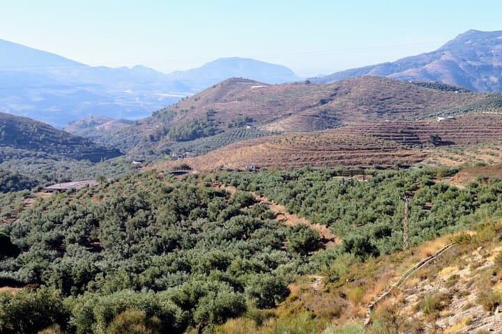 Alpujarra Daytrip from Granada: Pampaneira, Bubión & Capileira in a Day photo 6
