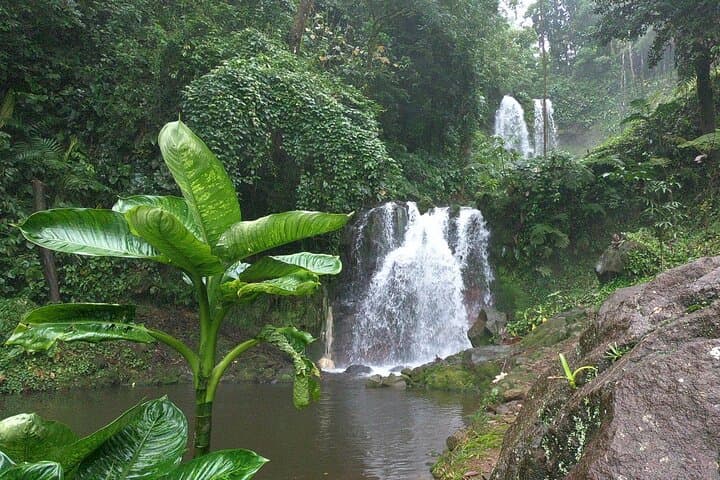 Blue Rivers & Hot Springs: Rincón de la Vieja Day Trip from Playa del Coco photo 2