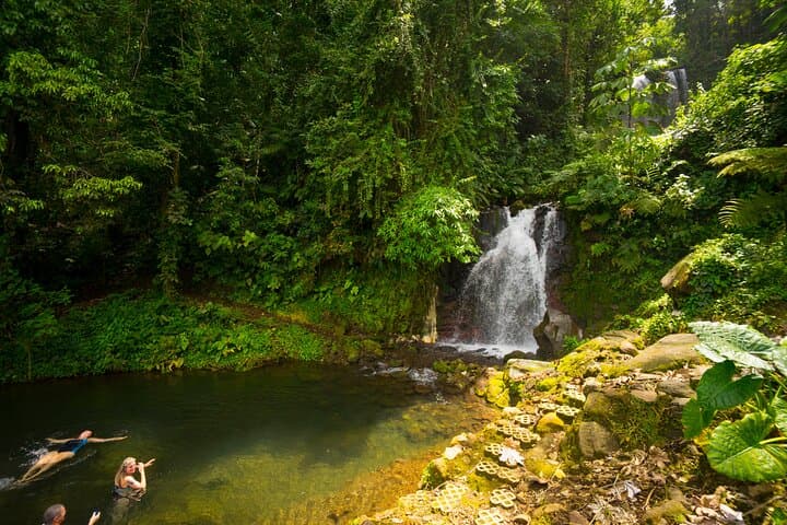 Blue River Hot Springs Adventure — Rincon de la Vieja Waterfalls, Mud Baths & Volcano Views photo 2