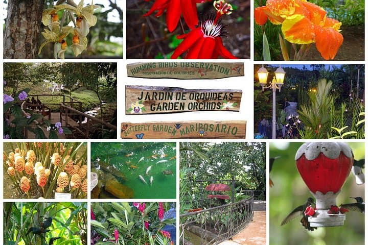 Rincon de la Vieja Waterfall & Hot Springs Tour from Playa Hermosa photo 4