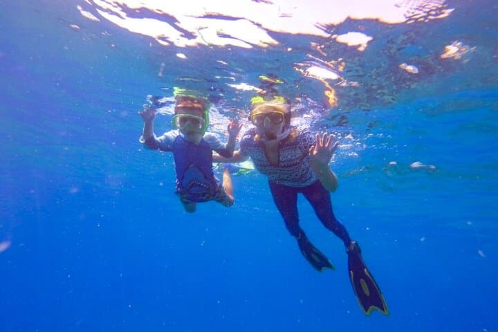 Sosúa Bay Guided Snorkel Cruise — 2-Hour Boat Trip with Pro Guide photo 4