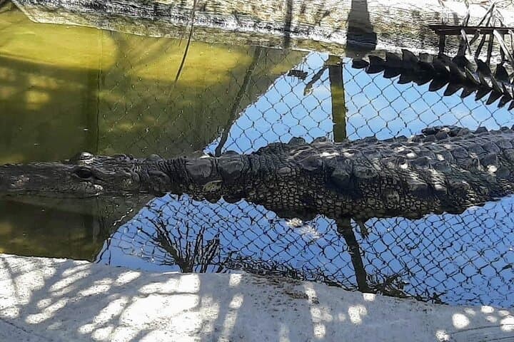Lagoon Boat Ride, Beach Horseback and Crocodile Farm Day Trip from Acapulco photo 2