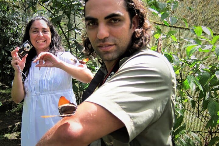 Guided Butterfly Conservatory Tour Arenal Costa Rica photo 5