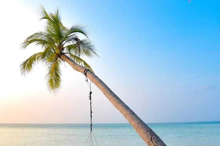 Galle Day Tour from Colombo: Forts, Turtles & Unawatuna Snorkel photo 3