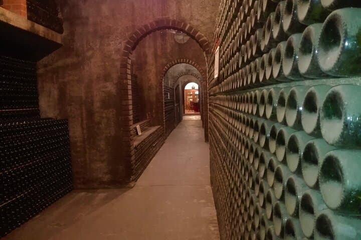 Bairrada Winery Route: Half-Day Cellar Tour and Vineyard Views from Coimbra photo 4