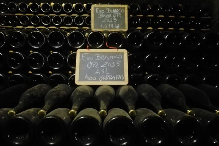 Bairrada Winery Route: Half-Day Cellar Tour and Vineyard Views from Coimbra photo 5