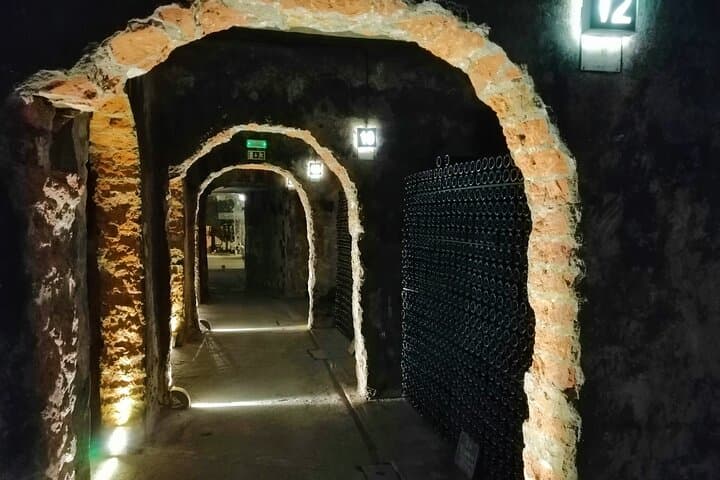 Bairrada Winery Route: Half-Day Cellar Tour and Vineyard Views from Coimbra