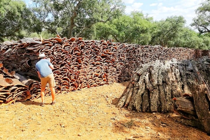 Walk the Alentejo Cork Forests: 2-Hour Guided Cork Farm Walk from Redondo photo 3