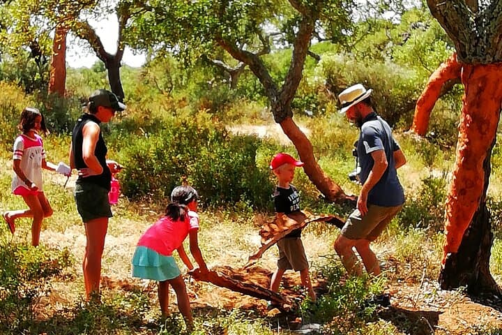 Walk the Alentejo Cork Forests: 2-Hour Guided Cork Farm Walk from Redondo photo 4