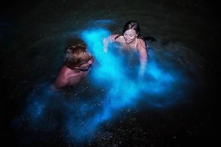 Night Swim at Jamaica's Luminous Lagoon — Falmouth Glistening Waters Tour