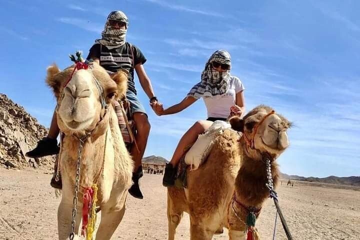 Desert Safari from Hurghada: Quad, Camel & Bedouin Camp Dinner photo 5