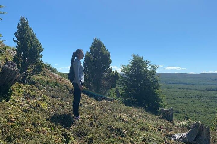Magallanes Reserve & Punta Arenas City Tour: Walk the Wild Edge of the Strait