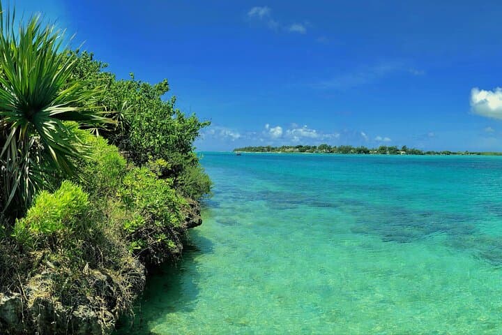 Ile aux Aigrettes Day Tour — Blue Bay, La Vanille & Gris Gris photo 6