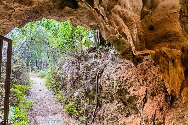 Explore Cayman Crystal Caves: Guided Cave and Forest Walk on Grand Cayman photo 3