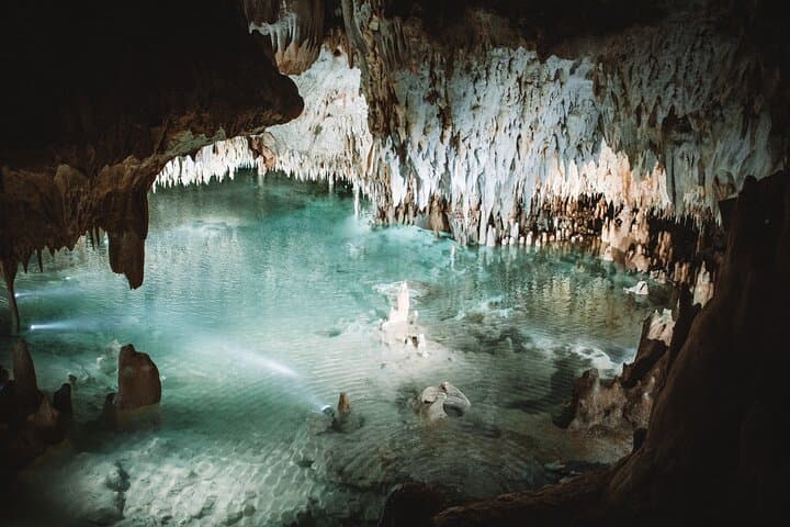Explore Cayman Crystal Caves: Guided Cave and Forest Walk on Grand Cayman photo 6