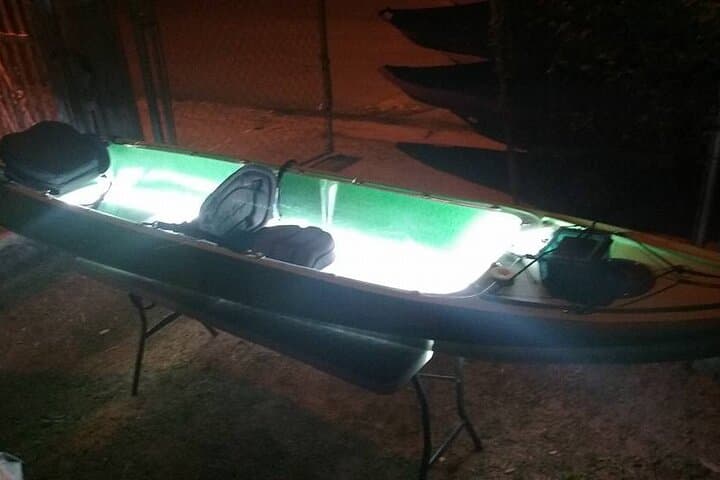 Night Paddle at Mosquito Bay — Vieques Bioluminescent Kayak Trip photo 4