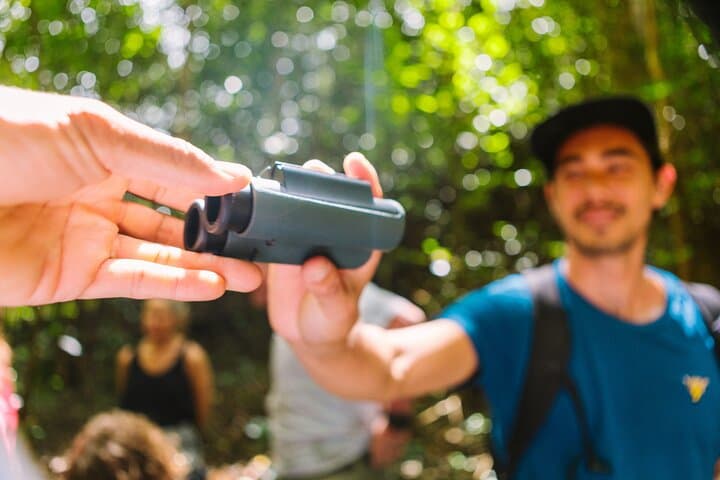 Inside Hakalau: A Full-Day Birding Adventure in Hawaii’s High Forests photo 4
