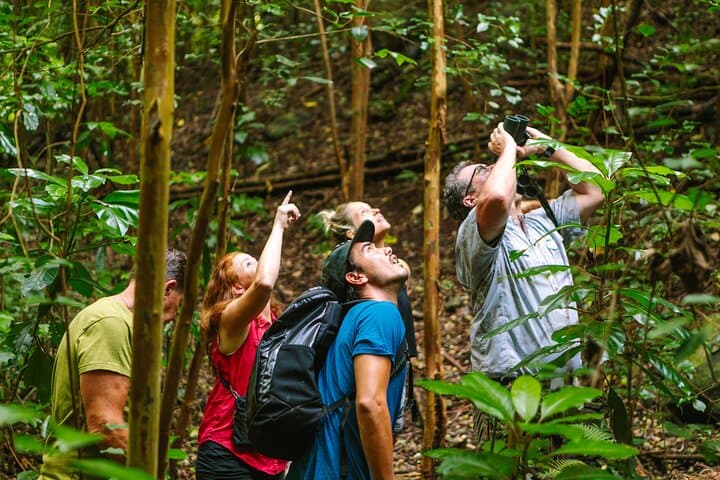 Inside Hakalau: A Full-Day Birding Adventure in Hawaii’s High Forests photo 5
