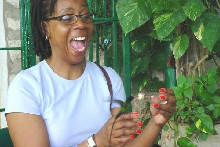 Rocklands Bird Sanctuary & Montego Bay Highlights Tour from Falmouth — Half-Day Wildlife and City Sights photo 5