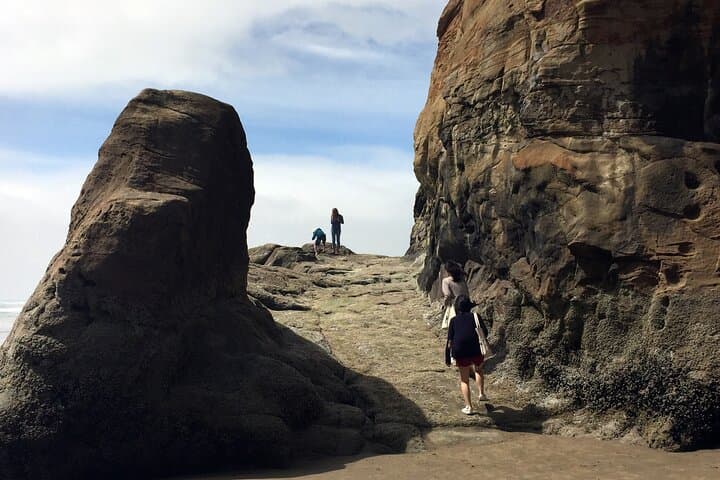 Private Northern Oregon Coast Day Trip from Portland — Cannon Beach, Haystack Rock & Cape Falcon photo 2