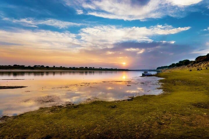 Chambal River Gharial Safari from Ranthambore — Private River Cruise from Sawai Madhopur photo 5
