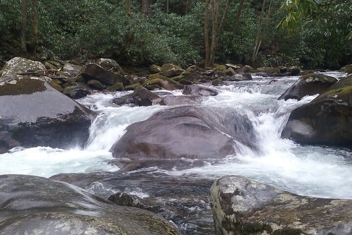 Clear Creek Falls Hike: Streamside Waterfalls in the Great Smoky Mountains photo 6