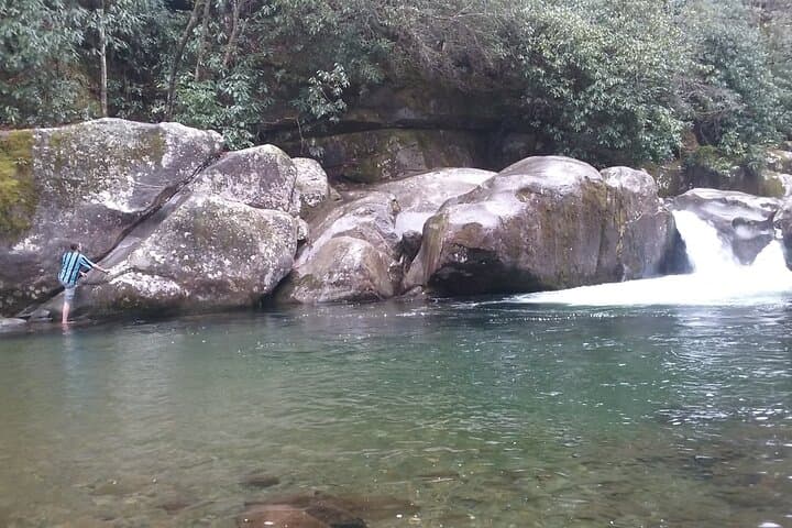 Clear Creek Falls Hike: Streamside Waterfalls in the Great Smoky Mountains photo 4