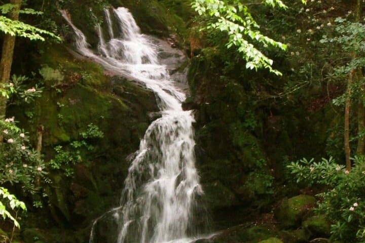 Clear Creek Falls Hike: Streamside Waterfalls in the Great Smoky Mountains photo 3