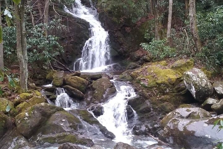 Clear Creek Falls Hike: Streamside Waterfalls in the Great Smoky Mountains