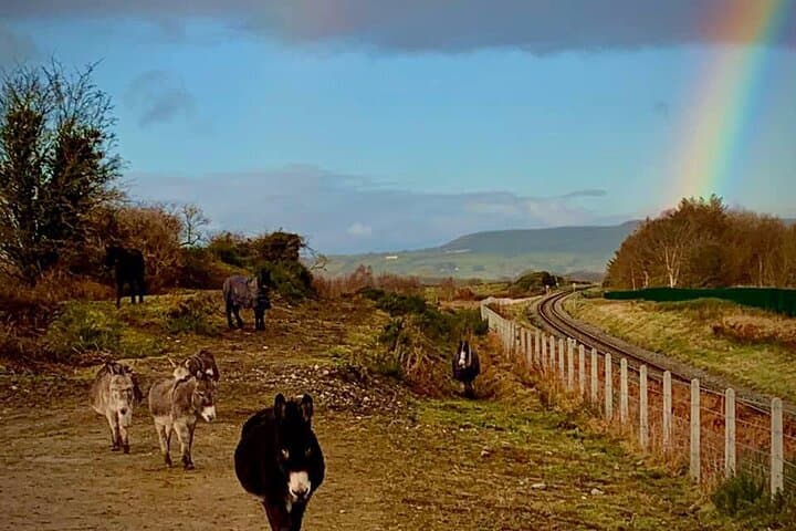 Luxury Photography Day Tour on the Ring of Kerry and Skellig Ring photo 5