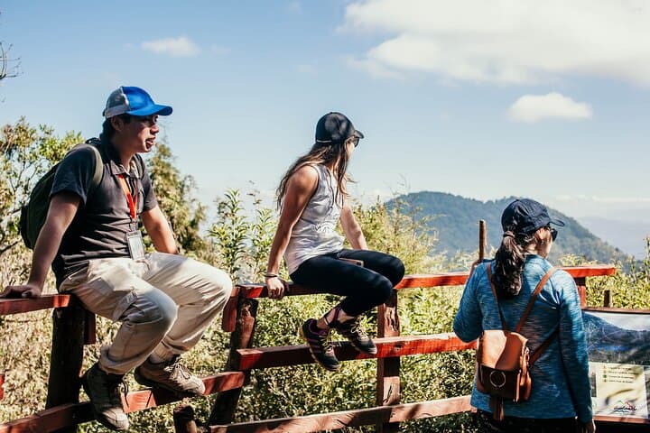 Climb Pacaya Volcano: Private Hike from Guatemala City to an Active Cone photo 3