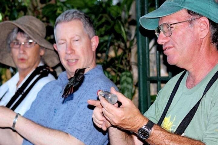 Rocklands Bird Sanctuary & Montego Bay Highlights Tour from Falmouth — Half-Day Wildlife and City Sights