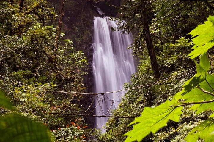 Monteverde 3-in-1: Cloud Forest Waterfalls, Wild Trek & Horseback Ride photo 2