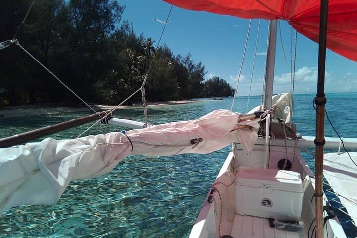 Private Moorea Half-Day Sailing Tour — Cook & Opunohu Lagoon Discovery photo 6