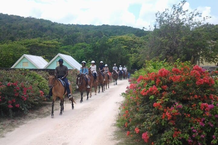 Montego Bay to Dunn's River Falls: Horseback & Waterfall Adventure photo 6