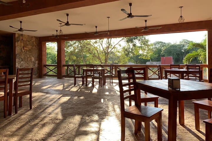 Cenotes Santa Bárbara Day Trip from Mérida — Horse-Drawn Trucks, Bikes & Crystal Pools photo 6