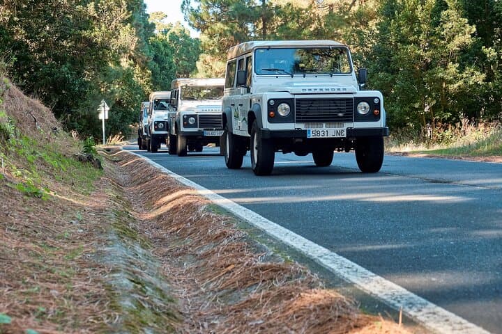 Half-Day Jeep Safari on Mount Teide — Morning Drive Through Tenerife's Volcanic Heart photo 6