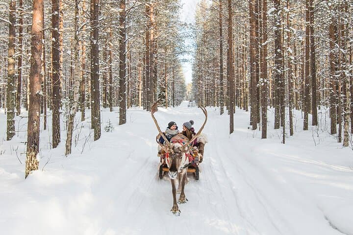 Reindeer Safari in Arctic Wilderness: Rovaniemi Reindeer Sled Experience photo 3