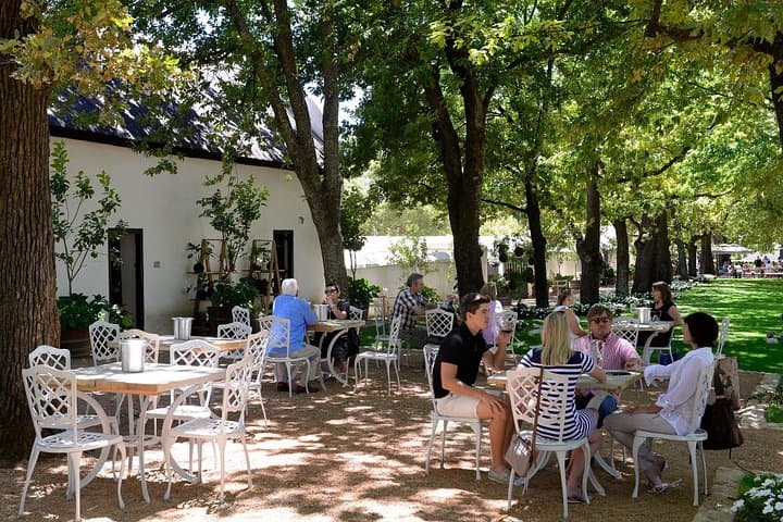 Stellenbosch Vine Hopper Eastern Route: Hop-On Hop-Off Wine Tour Guide photo 4