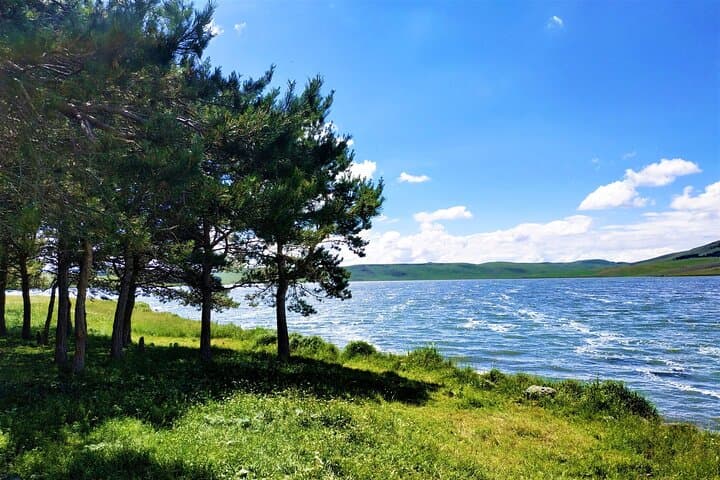 Javakheti Lake Birdwatching: Full-Day Tour from Tbilisi to Kartsakhi, Khanchali & Bughdasheni