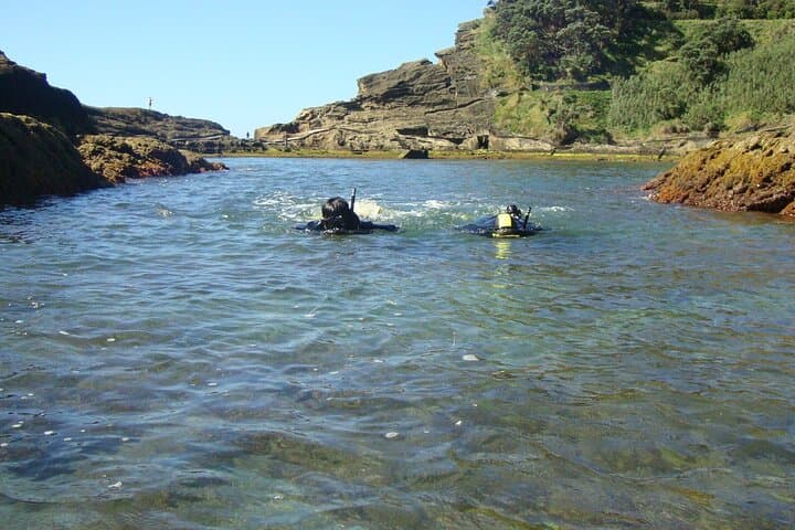 Snorkel the Vila Franca do Campo Islet: Guided Boat Trip to the Caldera Lagoon photo 5