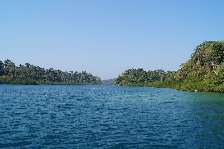 Saddle Peak Hike in Diglipur — Summit the Andaman Islands' Highest Peak photo 2