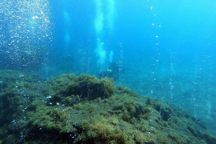 Double Scuba Diving off São Miguel — Two Atlantic Dives on the Azores South Coast photo 6