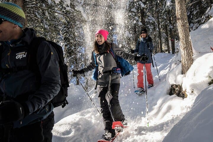 Snowshoe Tour from Interlaken: Alpine Forests Below the Eiger, Mönch & Jungfrau photo 3