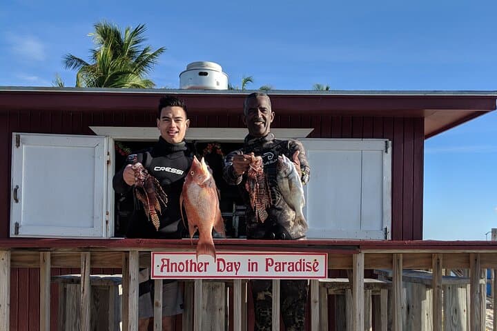 Paradise Cove Day Pass: Snorkel Deadman’s Reef & Beach Access from Freeport photo 6