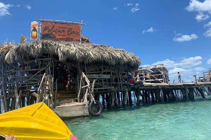 Montego Bay to Black River Safari & Pelican Bar — Private South Coast Tour photo 2
