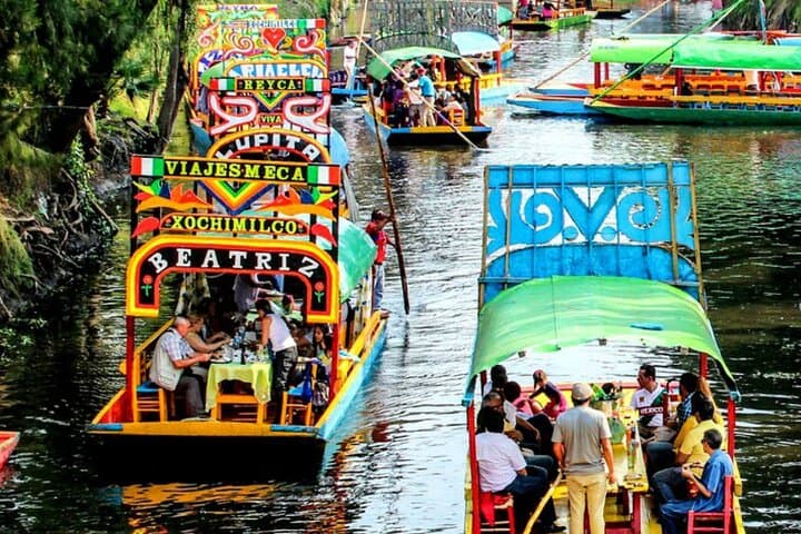 Xochimilco, Coyoacán & UNAM Tour — Trajinera Rides, Murals and Colonial Squares photo 6